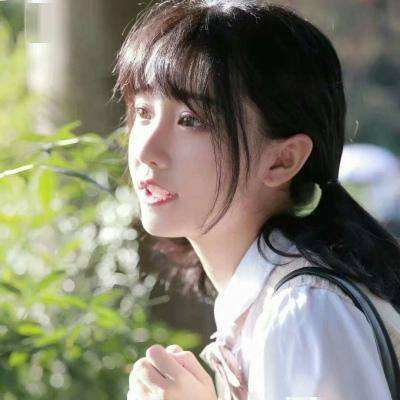 宠物王国外传无限曲玉版下载